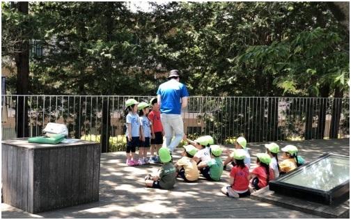 诺博教育:探访日本藤幼儿园,感受教育的细节之美