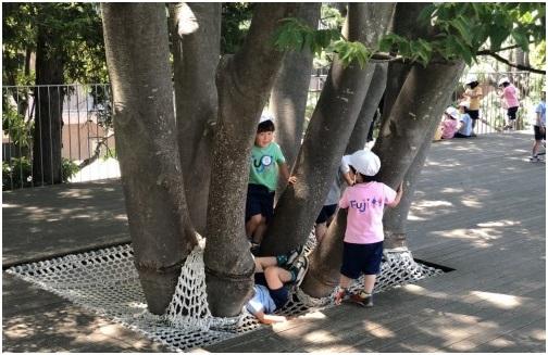 诺博教育:探访日本藤幼儿园,感受教育的细节之