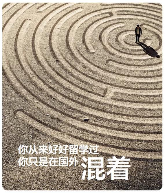 你从来都没好好留学过，你只是在国外混着