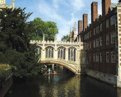 欧洲工商管理学院:商学院中的贵族