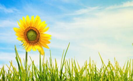 打败考前综合症以良好心态迎高考-评论-全国