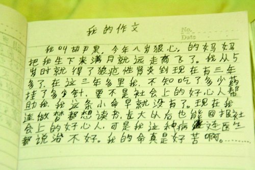 8岁<em>女孩</em>患肾病肚大如孕妇 写作文叹息命好苦