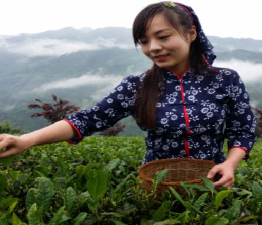 恩施人都是富硒大亨,可外地人却只知道他_频