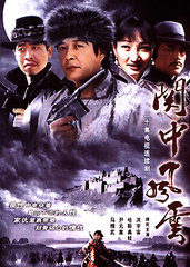 关中枪声 (2009)