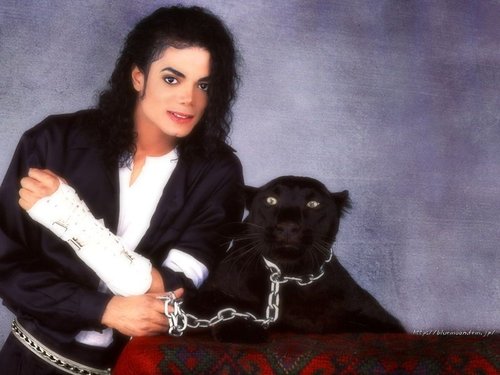 杰克逊今晚下葬 细数全球粉丝最后怀念感言(图