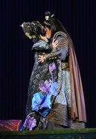 ��������ͼ