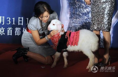 那英开个唱未通知王菲 最怕跳舞服装不暴露(图