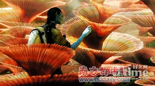 詹姆斯·卡梅隆科幻巨制《阿凡达》香港首映_
