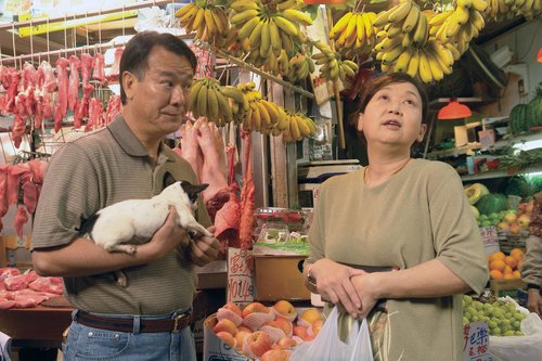 《月满轩尼诗》饰姐妹花 鲍起静朱咪咪争黄昏恋