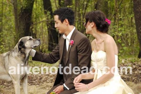 吴彦祖南非完婚 lisa s.倒追成功否认已怀孕【图】