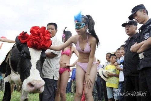 比基尼美女<em>抚摸</em>奶牛助阵是拿<em>女性</em>开涮