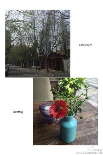 《我们的千阙歌》开机 田丽晒春景迎接新角色