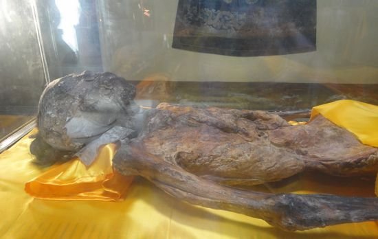 《博物馆奇妙夜》周三晚播出 揭秘龙袍干尸之