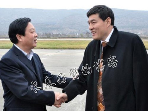 任中植集团董事局主席