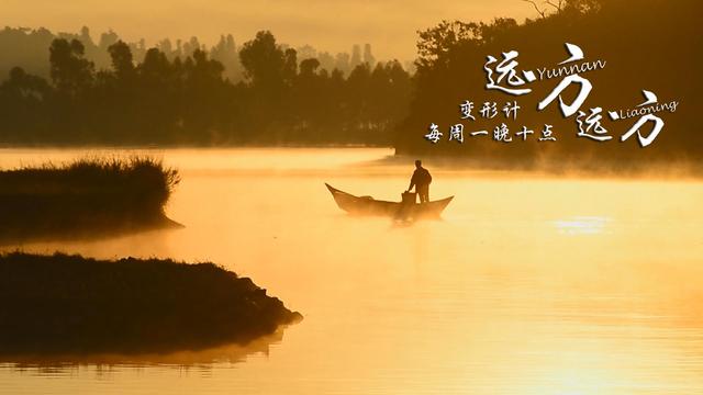 《 变形计 》夺收视四连冠 网络视频点击超2.1亿