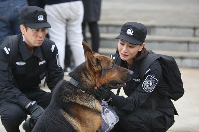 《警花与警犬》侯梦莎:警犬的忠诚最震撼