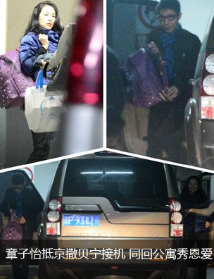 章子怡深夜回京撒贝宁接机同回公寓图片