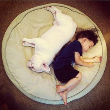 【所谓娱乐】孙俪《芈月传》现场剧照曝光