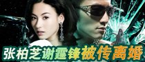 傳謝霆鋒張柏芝離婚