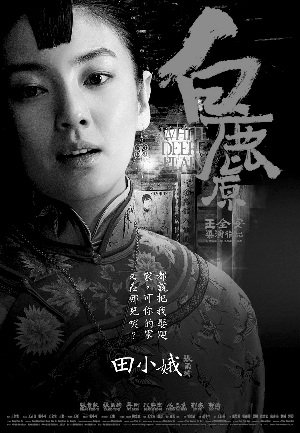 《白鹿原》吸中年观众群 首日场次追平《敢死队2》