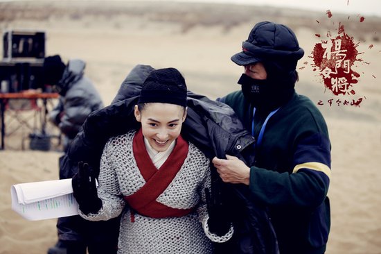 《<em>杨门女将</em>》争贺岁急先锋 张柏芝遗憾错失配