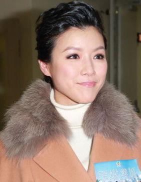 陈豪与陈茵媺儿子取名“陈梓烨” 喻意光辉璨烂