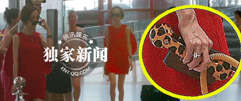 细带性感三点装丰臀女生Nina.1图片