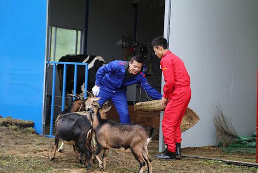 《我是传奇》 张一山 灌奶pk宝强 保剑锋秀广场