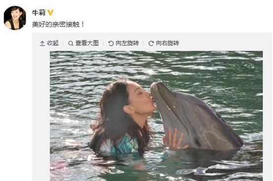 牛莉水中亲吻海豚嘴部 网友:画面好有爱