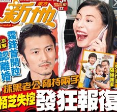  张柏芝 谢霆锋五年 婚姻解体 _腾讯娱乐_腾讯网