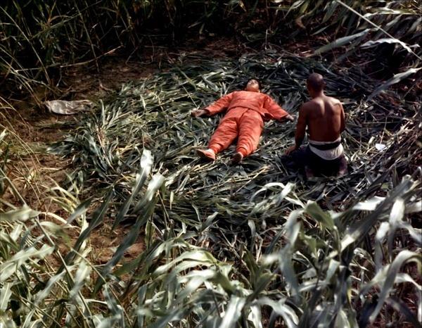 31部华语片柏林擒熊，从红高粱到白日焰火