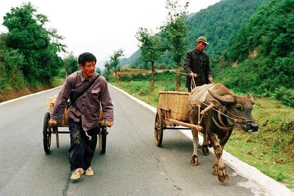 31部华语片柏林擒熊，从红高粱到白日焰火