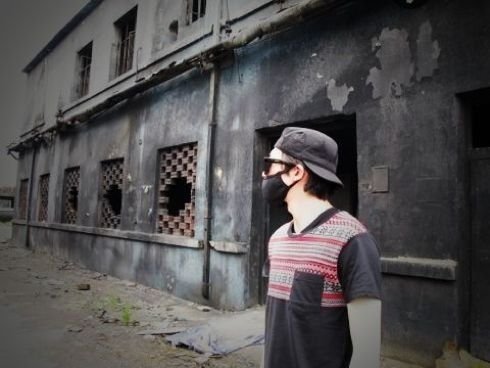 刺蝶图片
