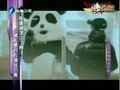 视频：罗志祥邀陈意涵拍MV 穿熊猫装大跳街舞