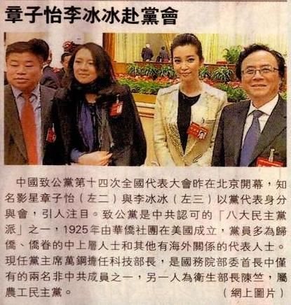 章子怡李冰冰以代表身份参加致公党代会(图)