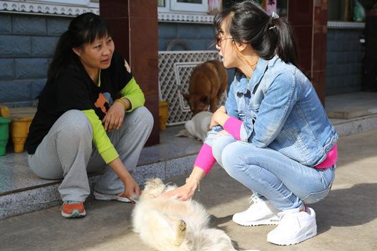 陈紫函生日探访流浪动物 呼吁领养代替购买