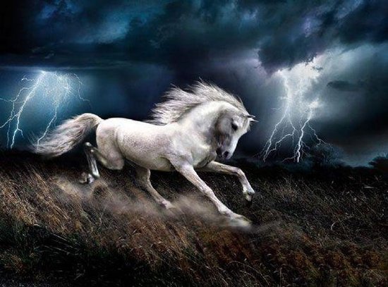 2012张北音乐节劲吹草原风 马头琴摇滚彪悍首