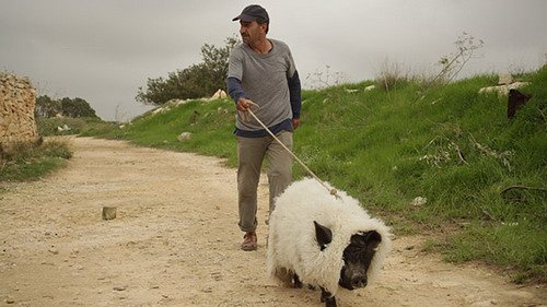 24届东京影展主竞赛单元影片:《长翅膀的猪》