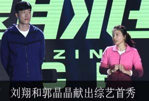2016综艺下一个风口在哪