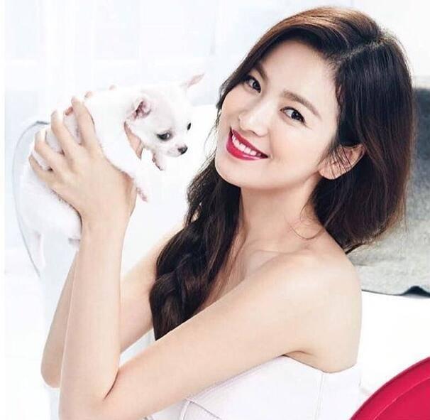 宋慧乔手捧宠物狗开心微笑 红唇妆展现独特美貌
