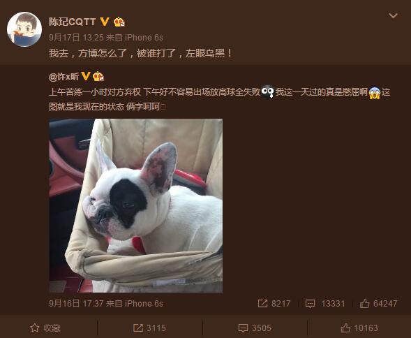 刘国梁敢打金星脸和张继科一起参加节目还得了 