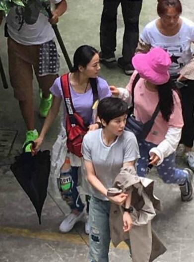 头发这么短的刘诗诗太少见，如此帅可还行？