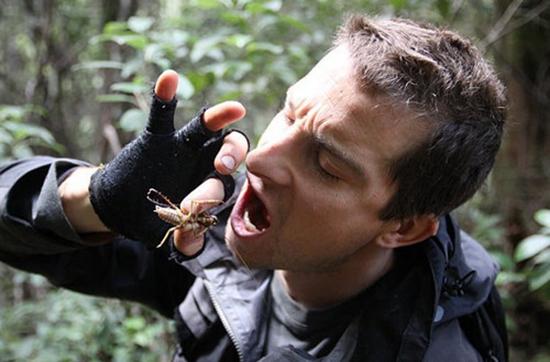 站在食物链顶端的贝爷要来中国拍节目了 _娱乐_腾讯网