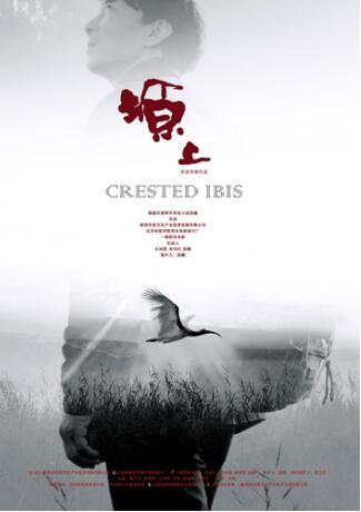 金鸡奖提名 《塬上》获最佳中小成本故事片提名