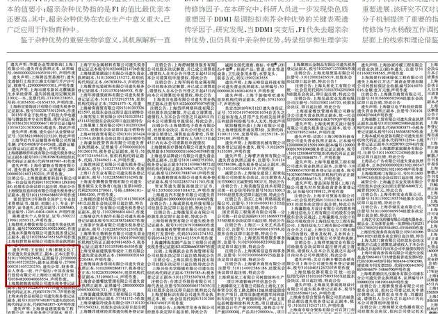 王宝强登报声明遗失公司公章 疑遭宋喆转给马蓉