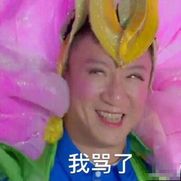 辣眼睛的真人秀反串:魏晨小猪孙红雷谁最美