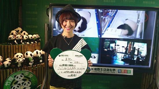 吴瑕主持大熊猫三胞胎成长直播 将出第二张专辑