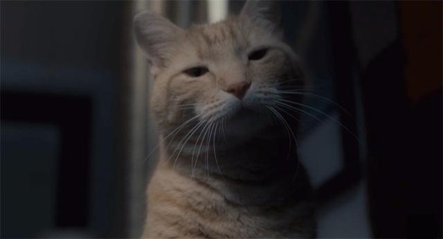 《醉乡民谣》:一只叫尤利西斯的黄猫