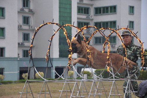央七推新军事竞赛节目 四大天王pk终极英雄