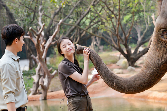 《奇妙的朋友》大象也会看颜值 狂追倪妮踹黄